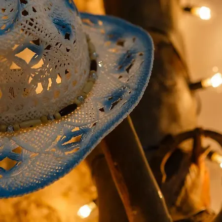 Noah House Center - Historic Center Apartament