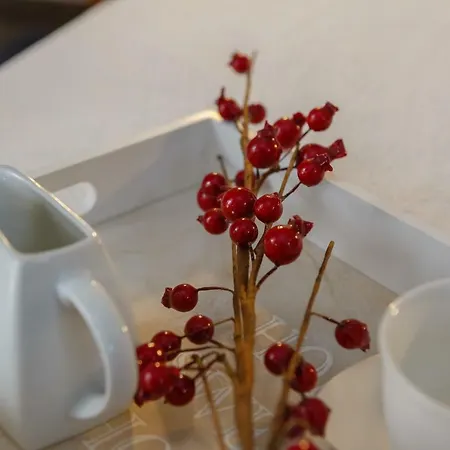 شقة Noah House Center - Historic Center