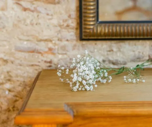 Noah House Center - Historic Center Cádiz