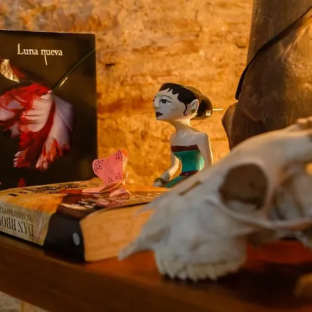 Noah House Center - Historic Center * Cadiz